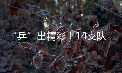 “乒”出精彩！14支队伍角逐龙岗第六届“乒协杯”大奖赛