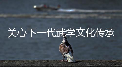 关心下一代武学文化传承工程 散打搏击项目在京启动