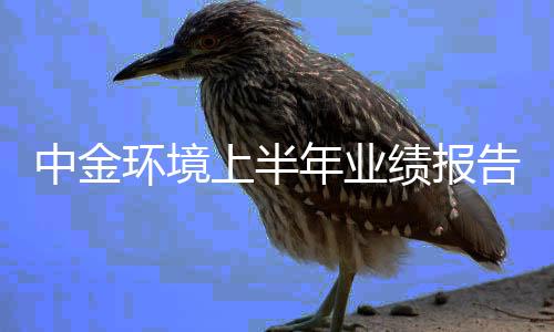 中金环境上半年业绩报告分析:环保咨询增速达224.7%